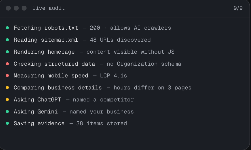 AI Visibility Check live prob